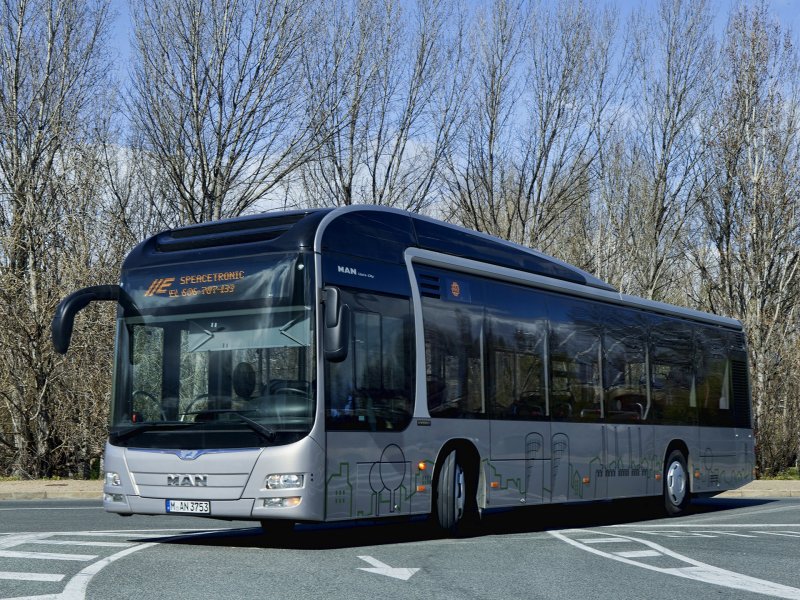 Man Lion‘s coach 2020 белый