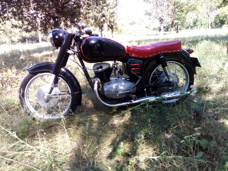 Pannonia t1