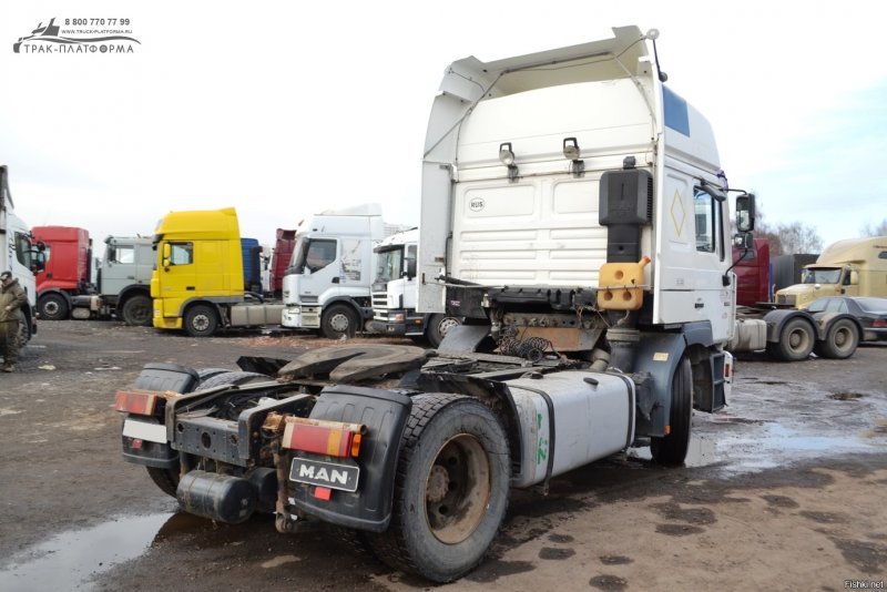 Ман Командор f2000 салатовый