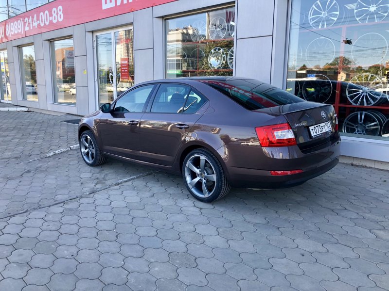 Octavia r18 Gold