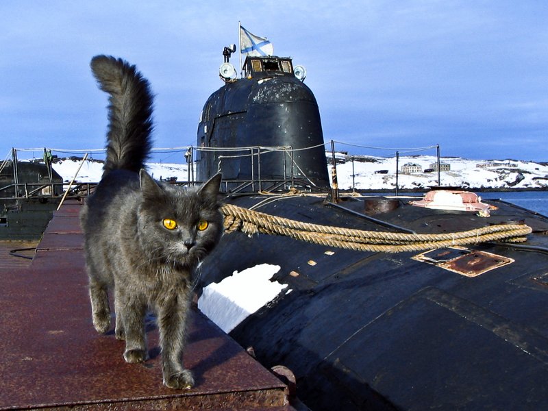 АПЛ «South Dakota» SSN 790