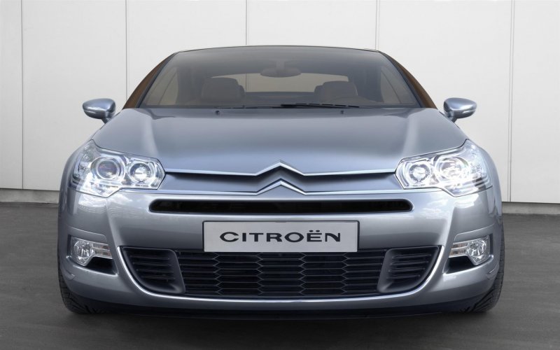 Citroen с5 реснички