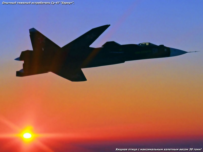 Самолет с обратной стреловидностью крыла Су-47