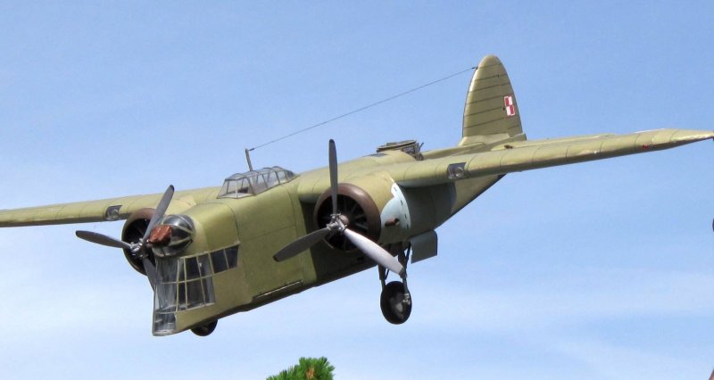 Самолет lws-6 Zubr