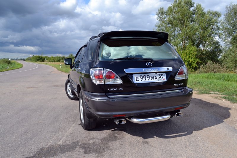 Lexus rx350 2007 антихром