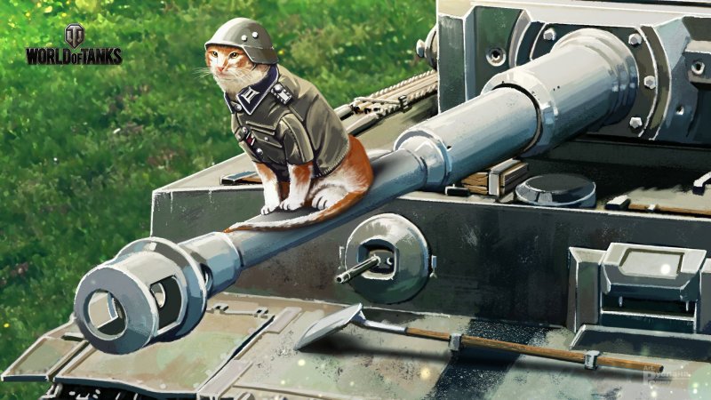Кот на танке фото