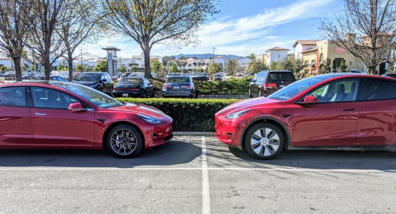 Tesla model y и model 3
