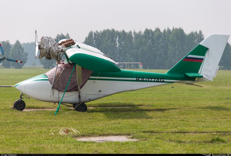 Цикада м (ng 305)