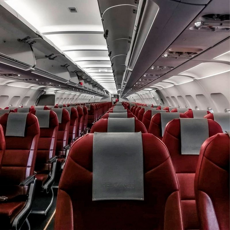 Red Wings wz704