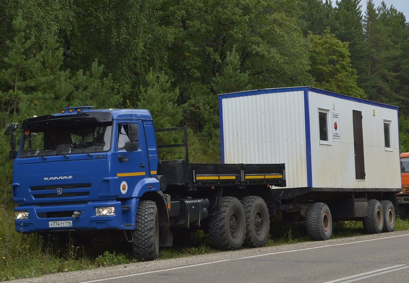 КАМАЗ 65115-42 сортиментовоз