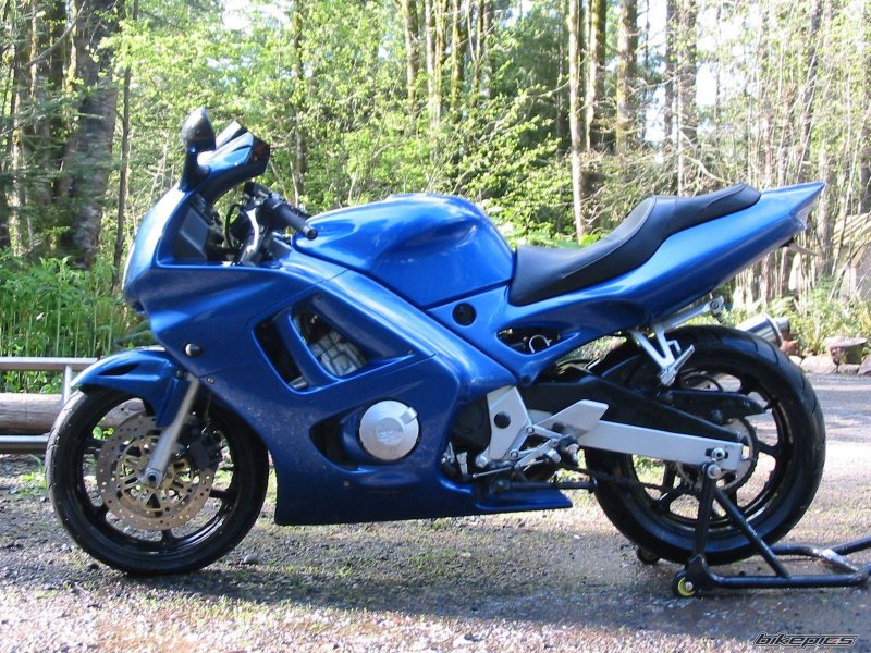 Honda CBR 600 f3 Custom