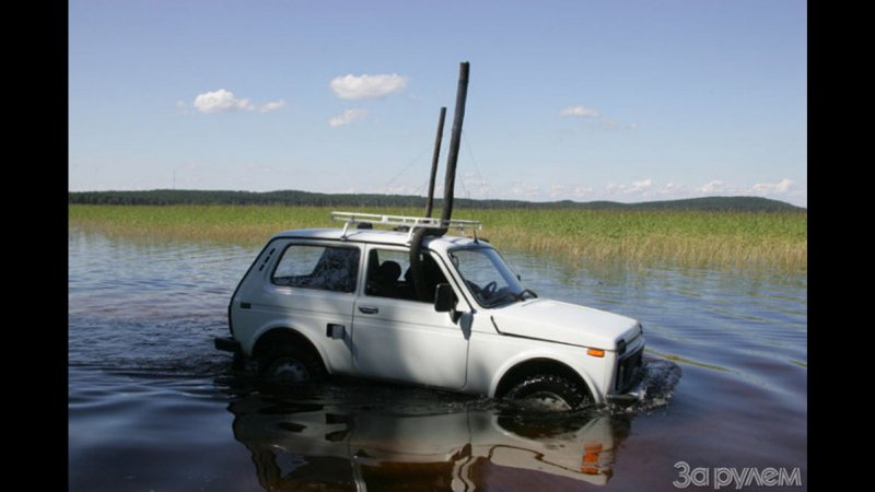 Нива водоплавающая