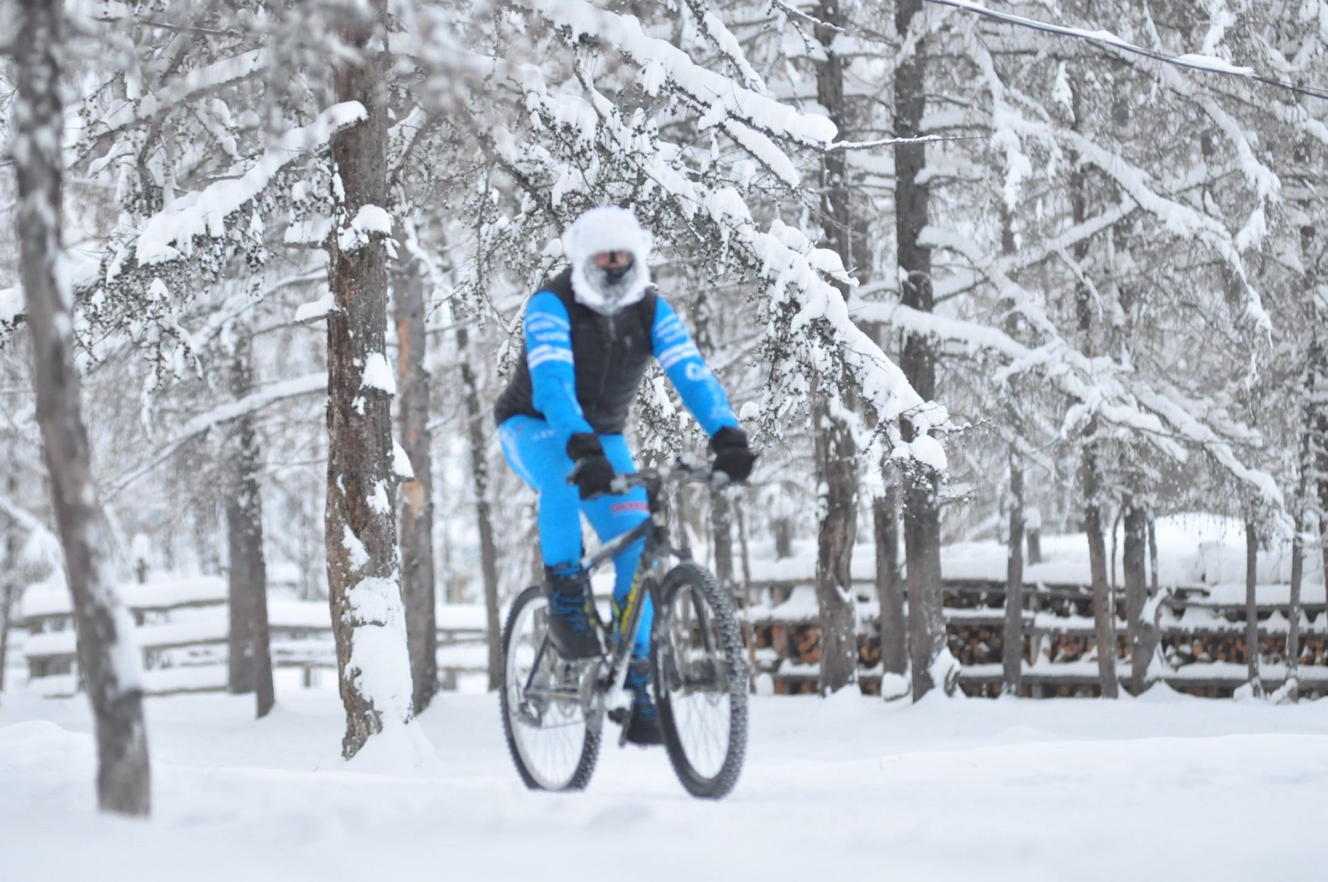 Зима какие велосипеды. Зимний велосипед. Велосипед зимой. Катание на велосипеде зимой. Велосипед для зимы.