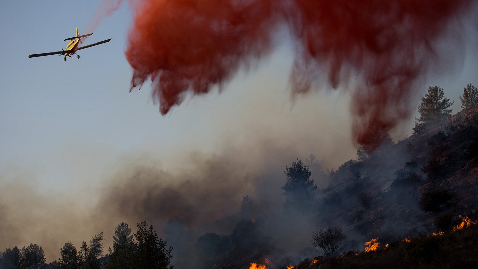 Самолет тушит пожар. Лесные пожары в Израиле. Горящй фото. Какой самолет тушит пожары в России.