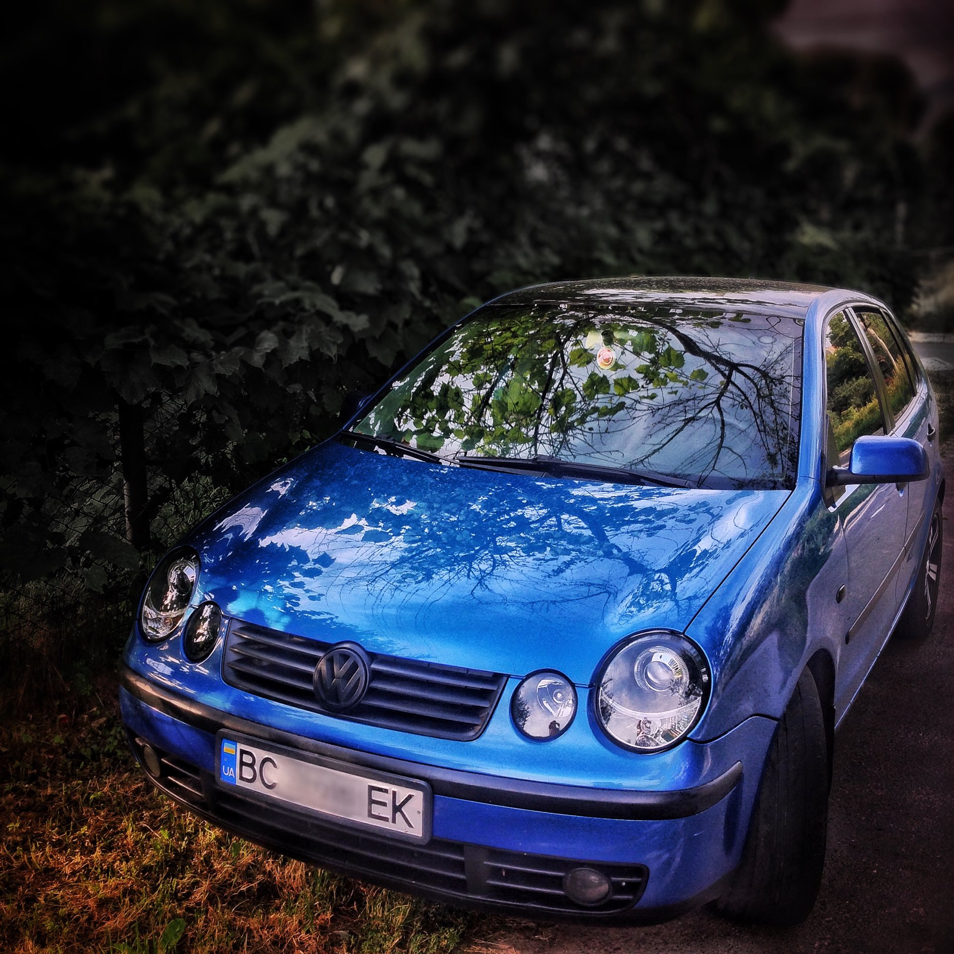 Volkswagen синий. Гольф 4 синий металлик. Фольксваген поло синий металлик. Фольксваген поло 4 синий. Синий VW Polo 4 GTI.