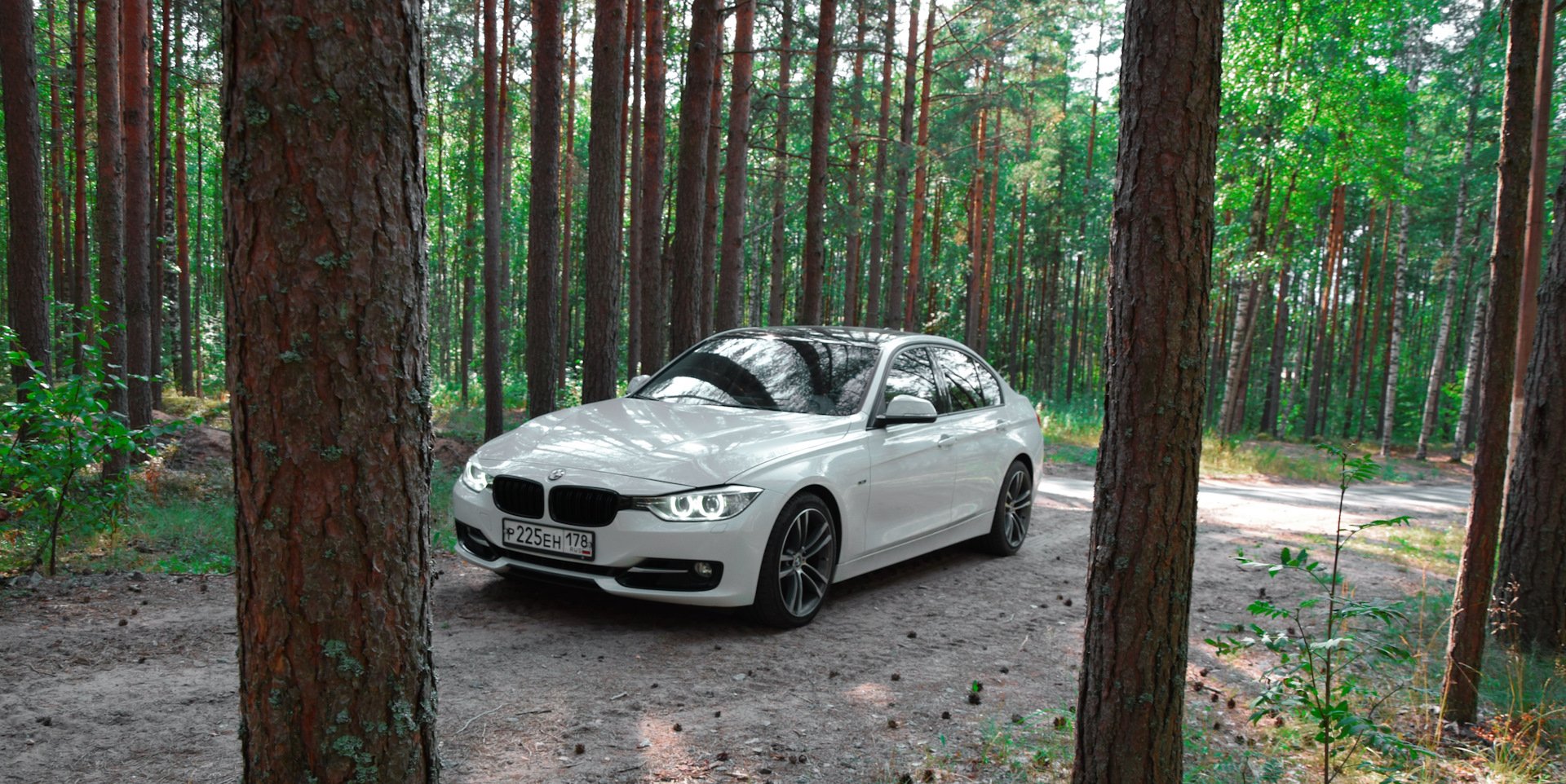 Капот в лесу. БМВ м5 в лесу. БМВ 525i в лесу. BMW f82 машина в лесу. БМВ e32. В лесу.