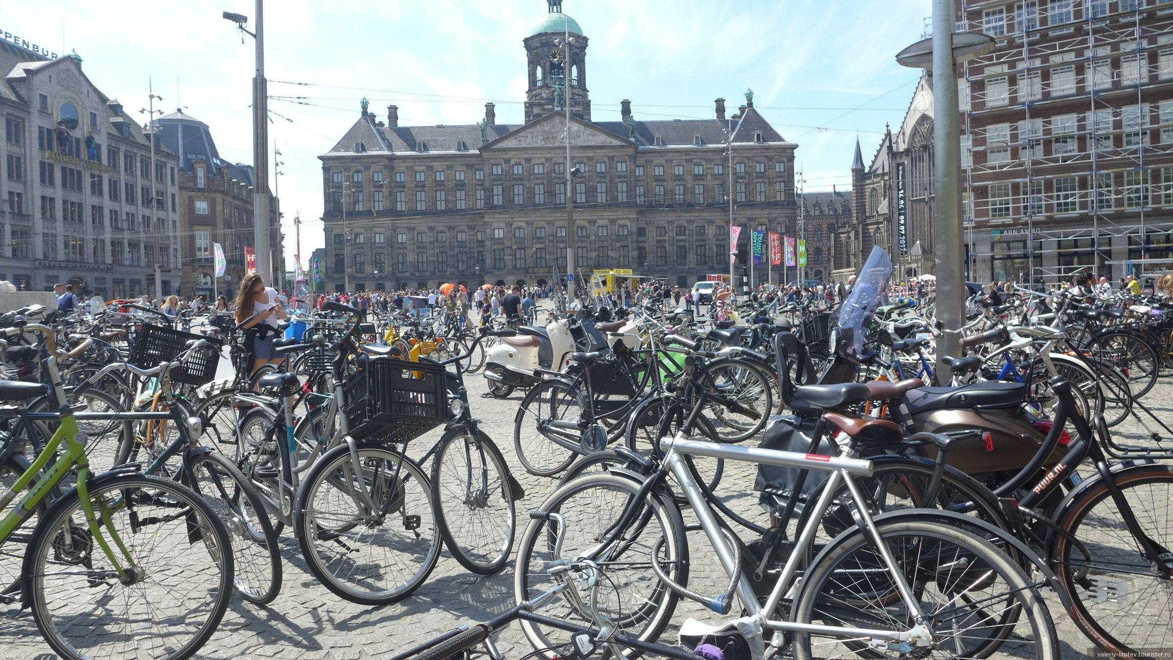 нидерланды велосипеды