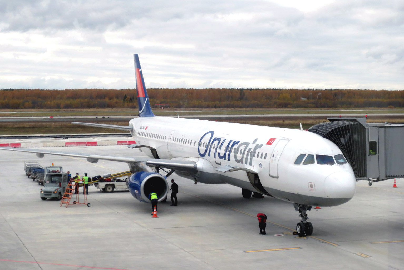 Самолет нижний новгород. Onur Air a321. Онур Эйр а320. Airbus a321 фото самолета. Onur Air самолеты.