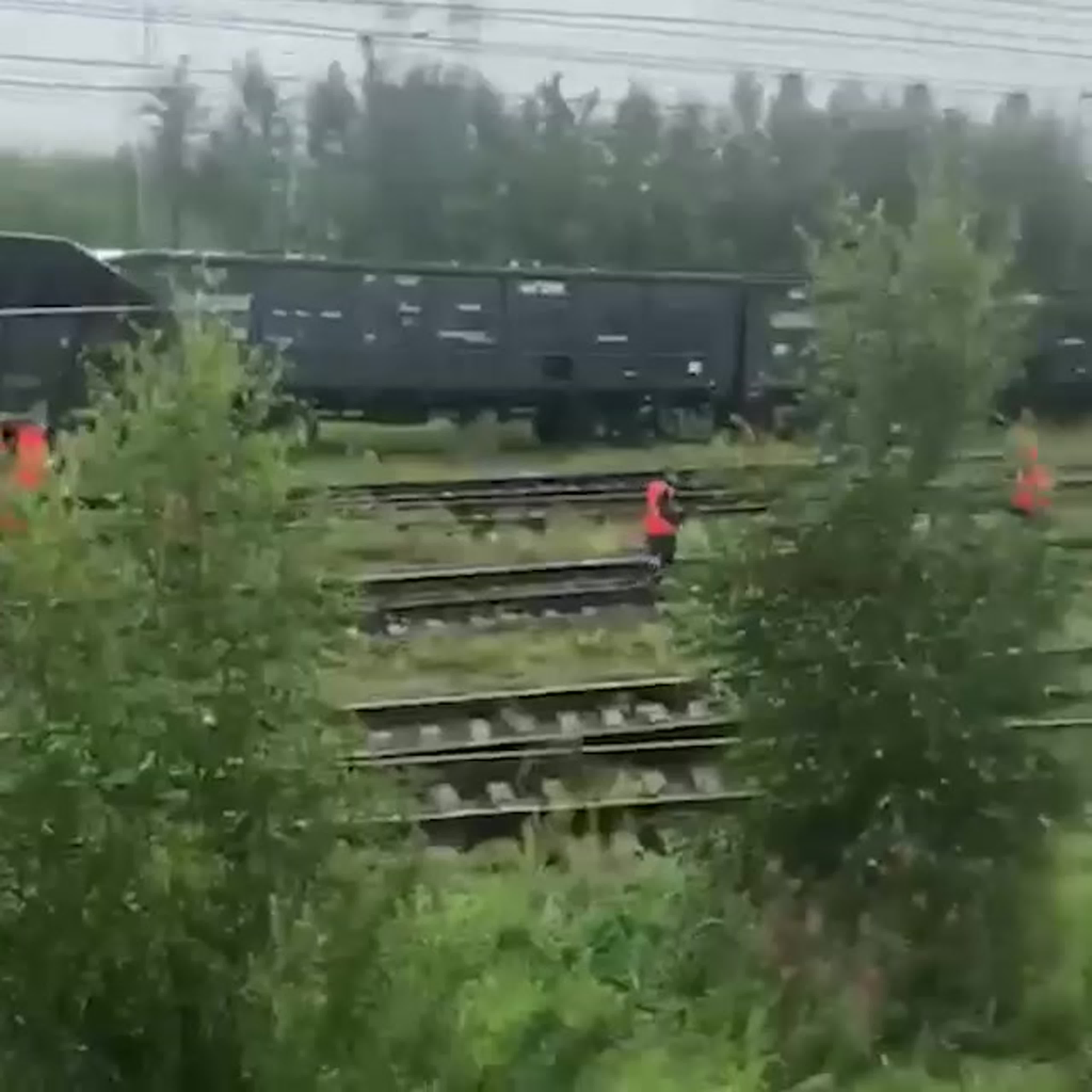 Поезд андрей тульников фото