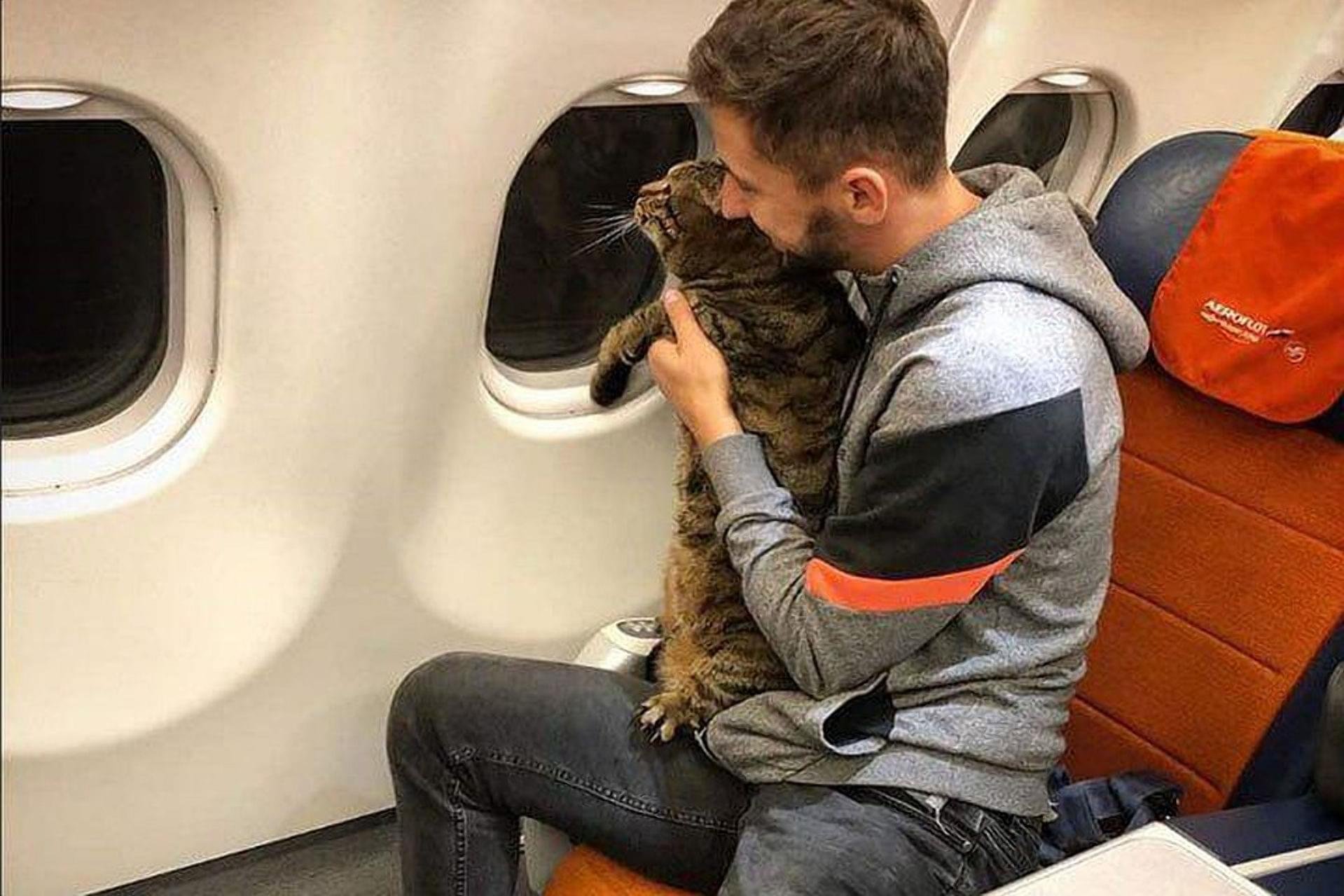 Mile владелец. Кот в самолете. Парень в самолете. Селфи в кресле самолета. Кот в багажном отсеке самолета.