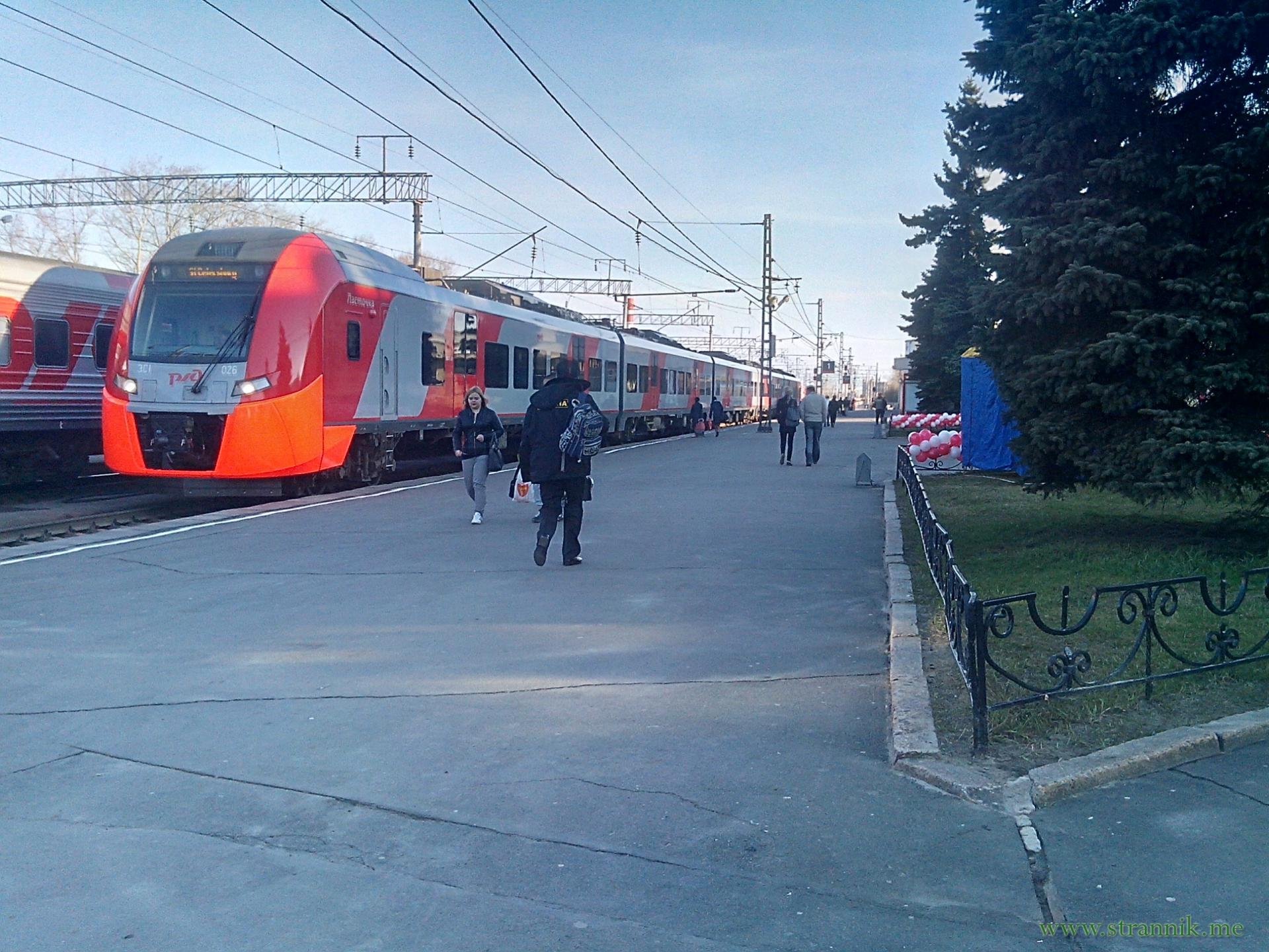 Поезд петрозаводск санкт петербург. Поезд Ласточка Петрозаводск. Электропоезд Ласточка Санкт-Петербург Петрозаводск. Петрозаводск Питер поезд Ласточка. Ласточка Петрозаводск.