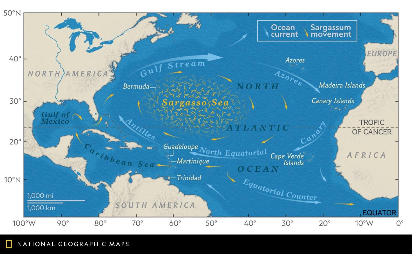 Самое большое течение в атлантическом океане. Атлантический океан Саргассово море. Саргассово море границы на карте. Саргассово море границы. Саргассово море на карте.