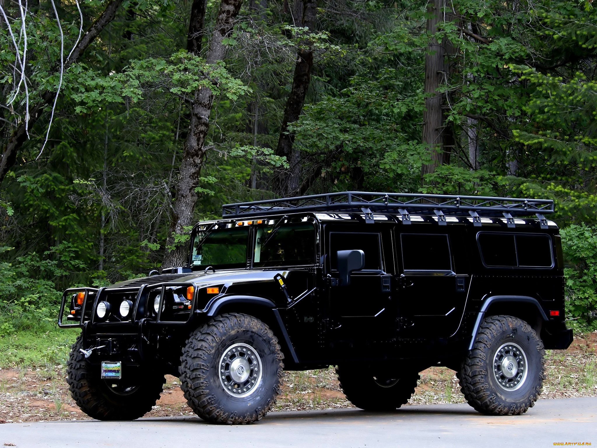 Hummer