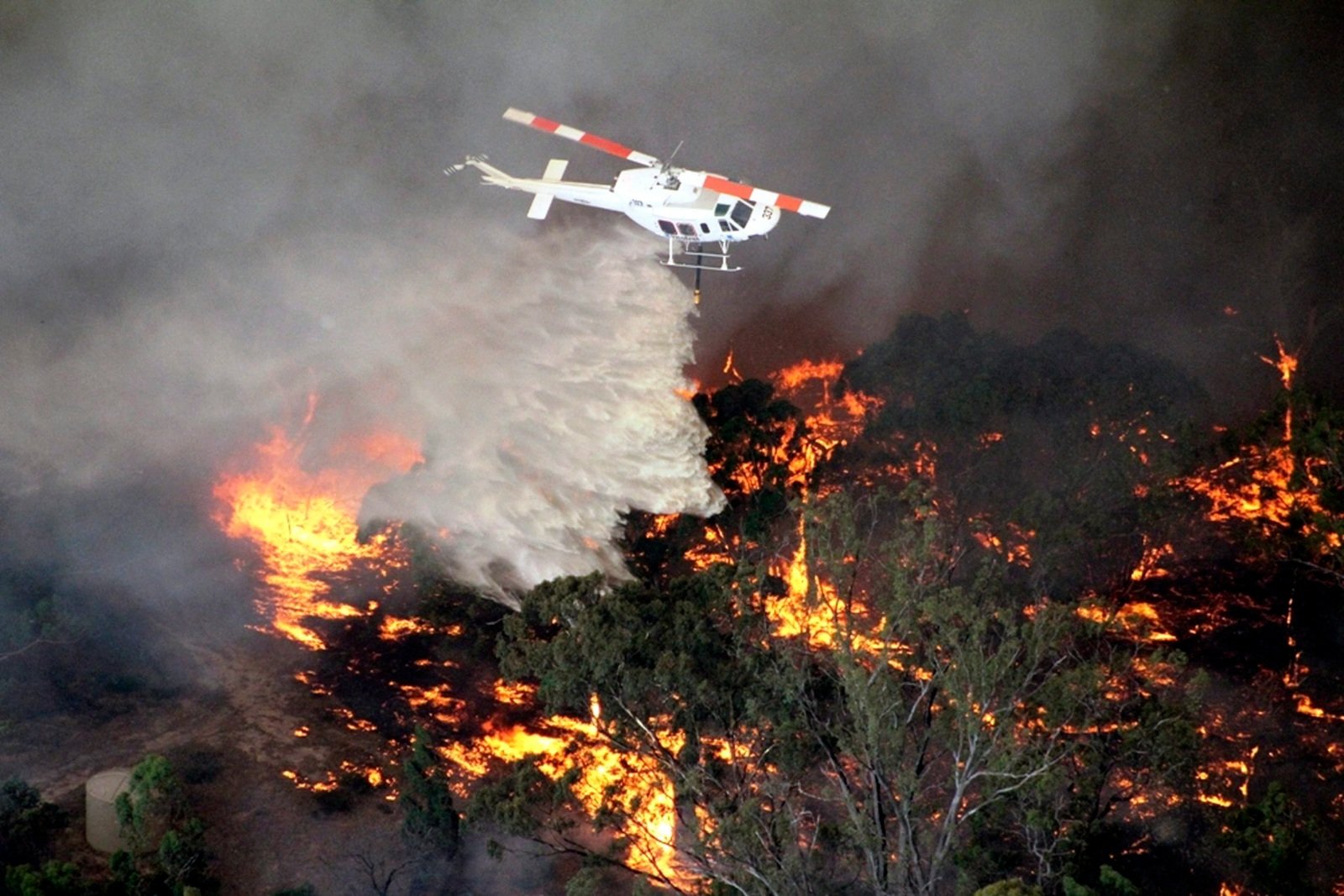 Самолет тушит пожар. Вертолет для тушения пожаров. Тушение лесных пожаров с воздуха. Тушение лесного пожара с вертолета. Пожарный самолет.