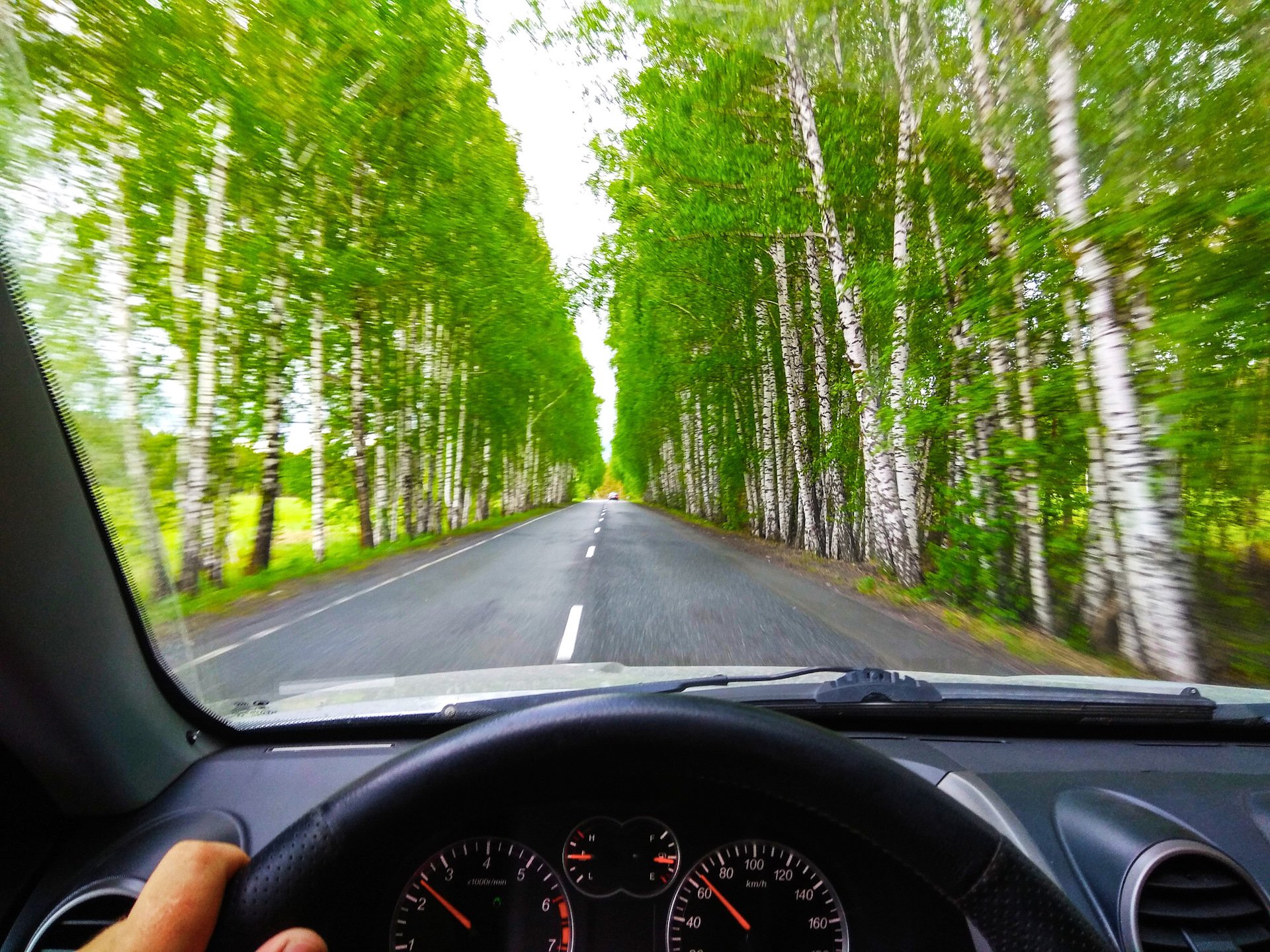 20 минут езды. Вид из машины на дорогу. Дорога за рулем. Вид на лес из машины. Красивый вид из машины.