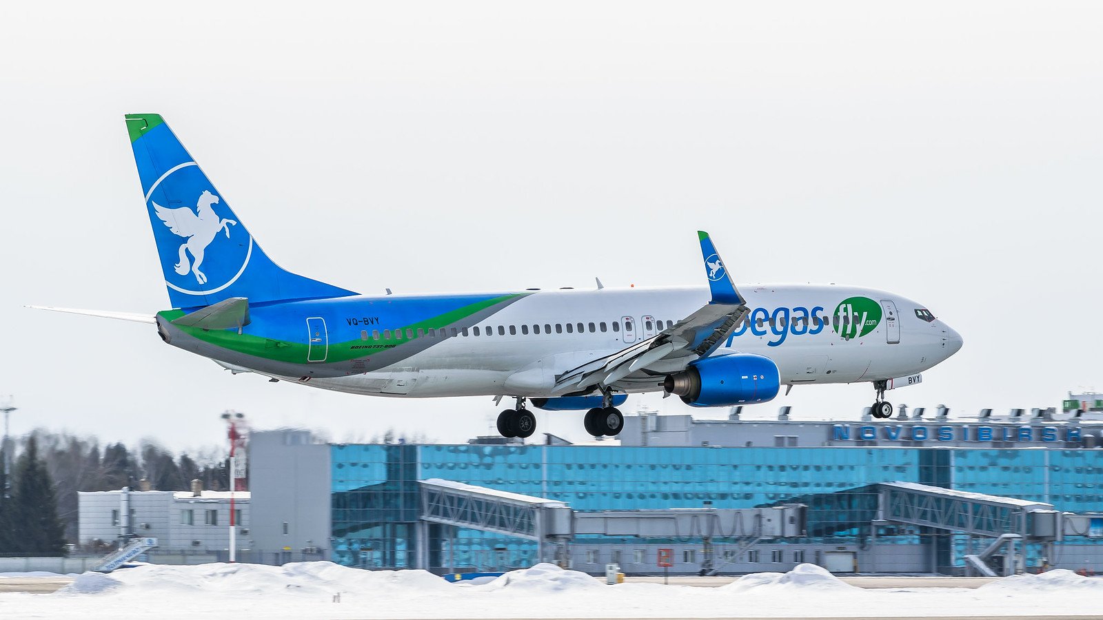 Пегас Флай 737-900. Боинг 737-800 Пегас Флай. Boeing 737-900 Pegas Fly. Самолет Пегас Тюмень.