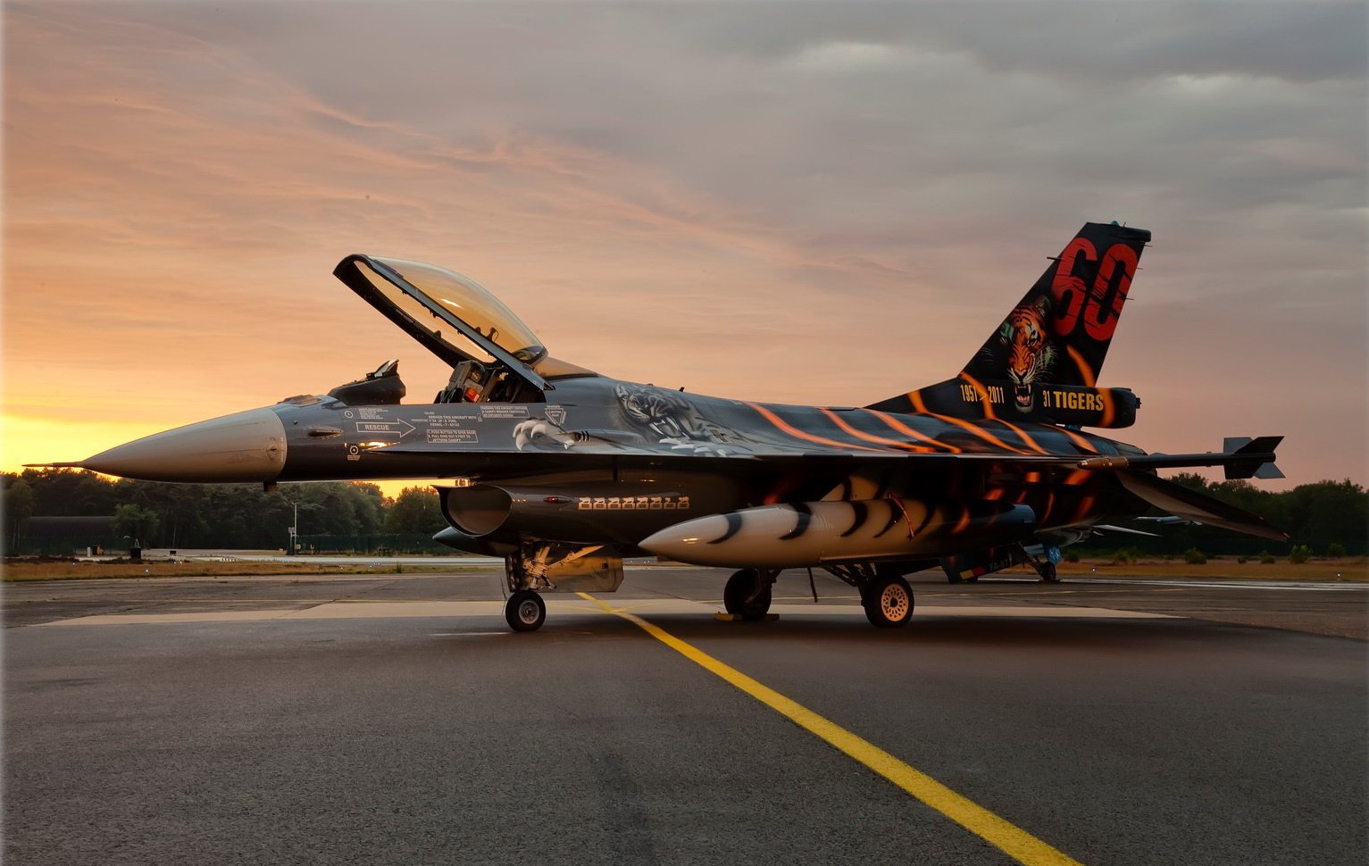F-16 Fighting Falcon Tiger