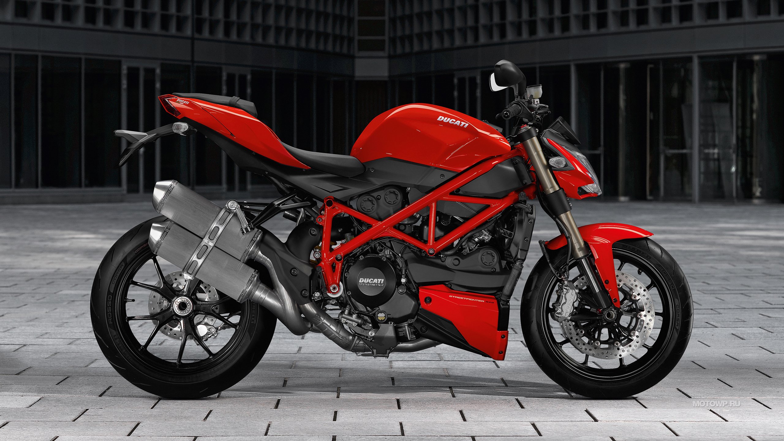 Dasiy Ducati