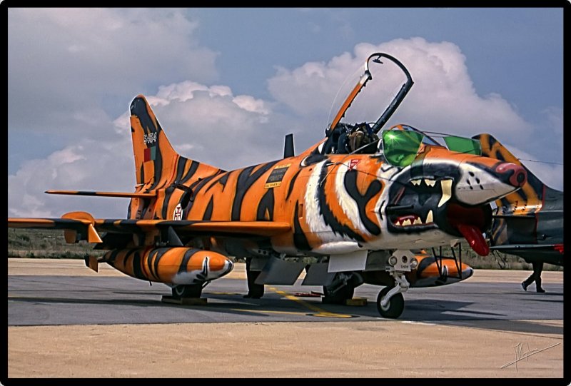 Aeritalia g-91y