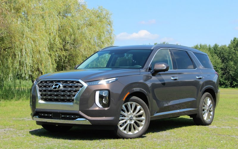 Hyundai Palisade 2020 Brown