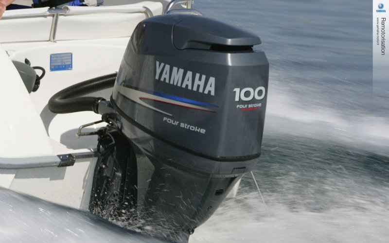Лодочный мотор Yamaha f100detl