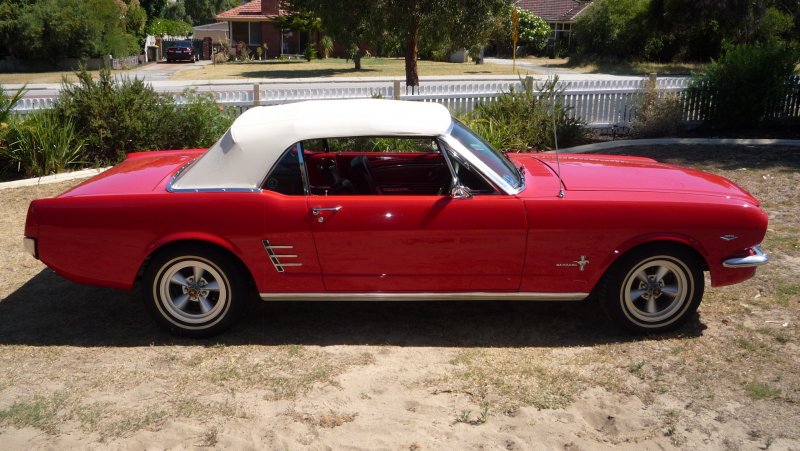 Ford Mustang Shelby 1964