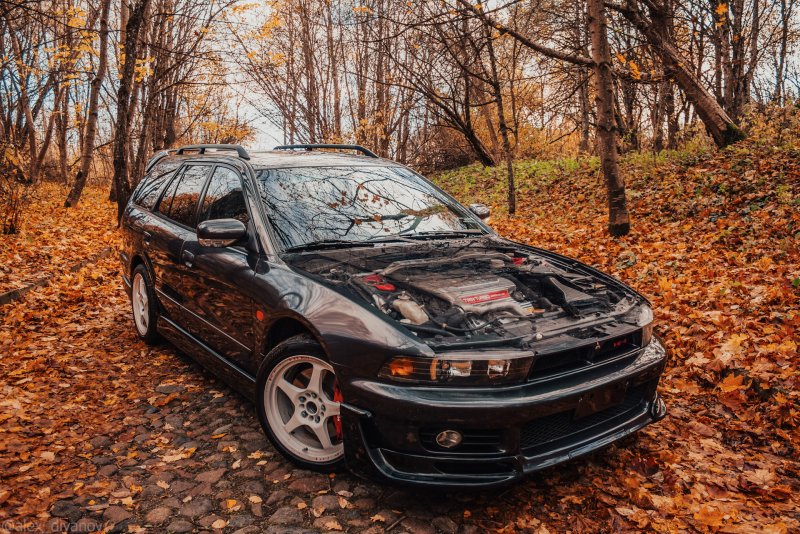 Legnum vr4