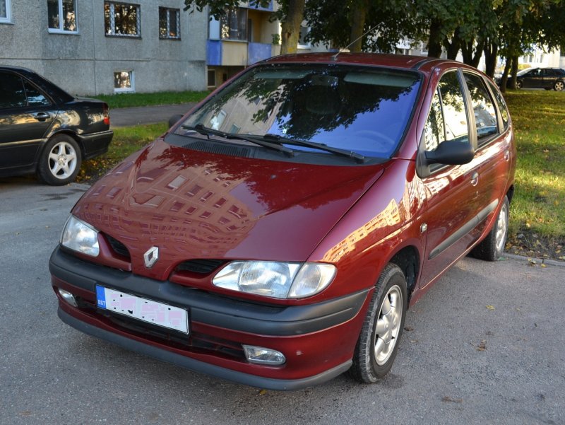 Меган Сценик 1