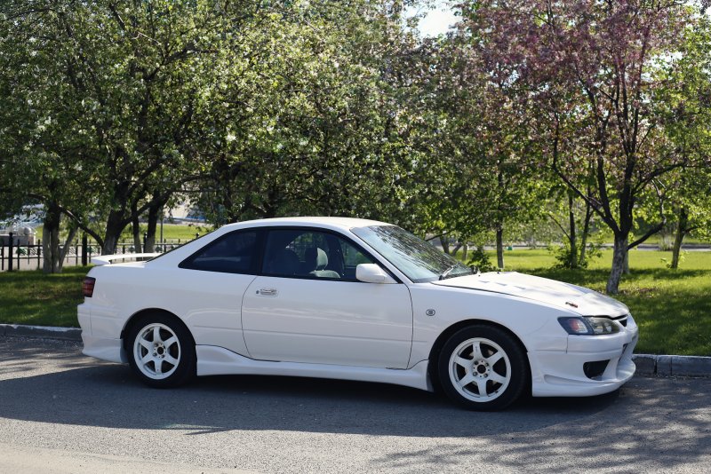 Levin 110