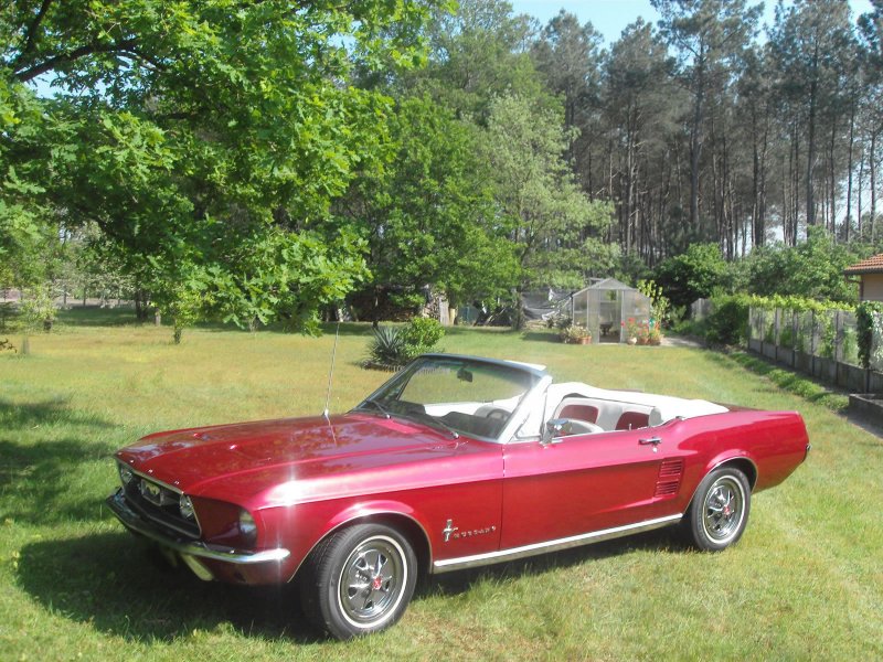 Ford Mustang 196