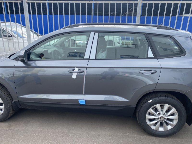 Skoda Karoq серый Platinum