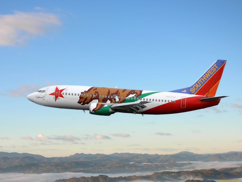 Boeing 737-800 тигр