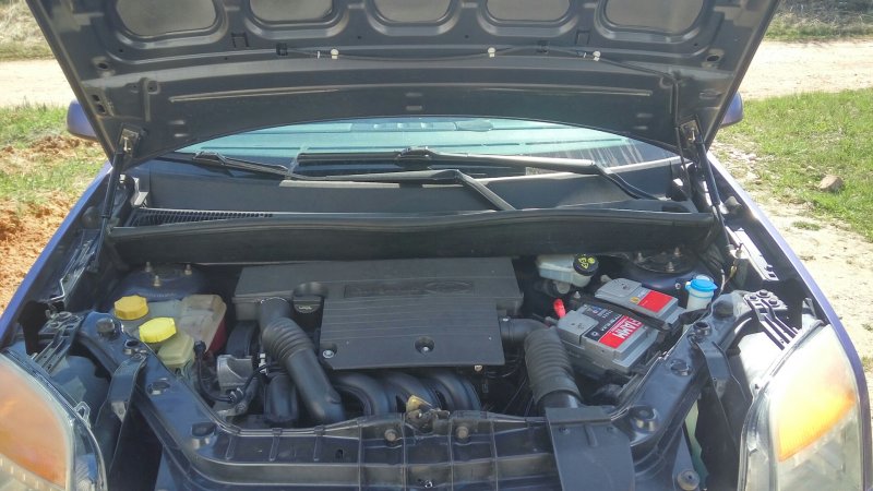 Газовые упоры капота Ford Fusion