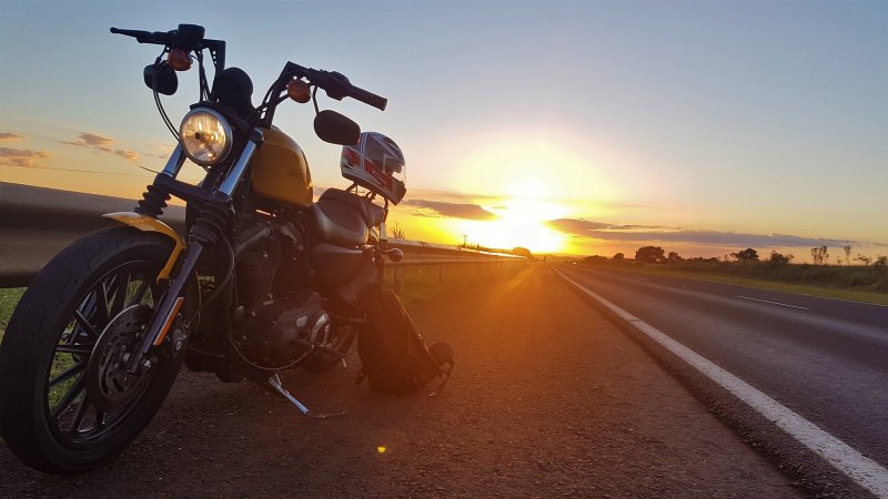 Harley Davidson Sportster закат