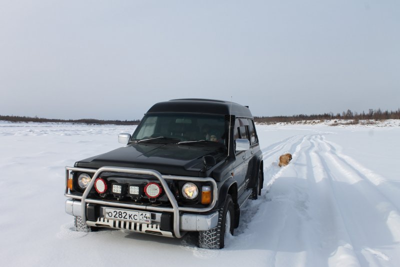 Nissan Safari IV (y60)