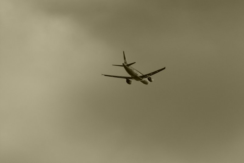 Тату самолетик