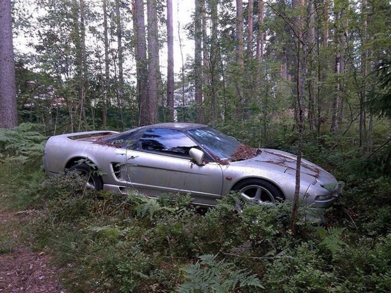 Honda NSX нашли в лесу под Петербургом