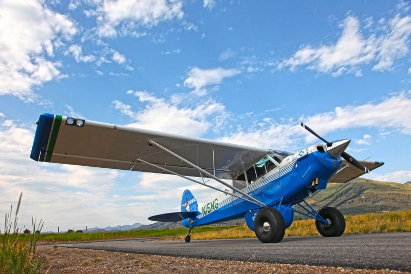Dynon Avionics d1