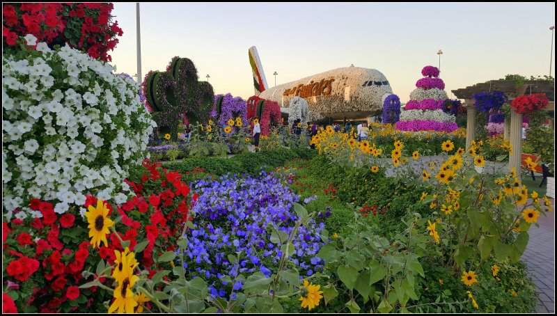 Парк цветов Miracle Garden самолет