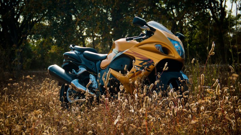 Suzuki Hayabusa gsx1300r